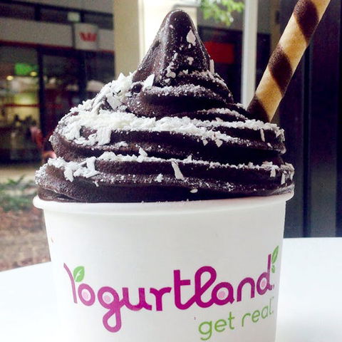 Yogurtland - Rouse Hill - St Kilda Accommodation 0