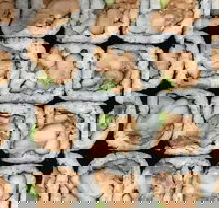 Sushi Pia - St Kilda Accommodation