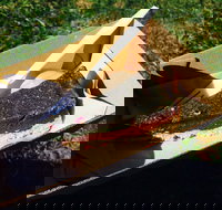 Byron Juice Bar - St Kilda Accommodation