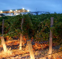 Haselgrove Wines