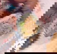 Sebastian's Food  Wine - St Kilda Accommodation