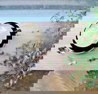 Glasshouse Hampton - St Kilda Accommodation