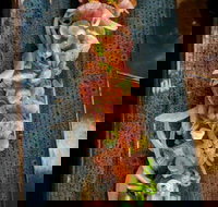 Yorokobi - St Kilda Accommodation