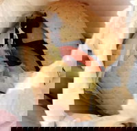 Post Office Cafe - St Kilda Accommodation