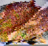 Silver Moon - St Kilda Accommodation