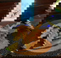 Cocina Mexican Grill and Cantina - St Kilda Accommodation