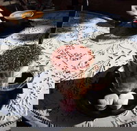 Gateaux By Marc Frissard - St Kilda Accommodation