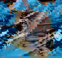 Hampton Wine Co - St Kilda Accommodation