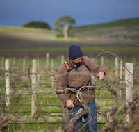 Kurtz Family Vineyards - St Kilda Accommodation