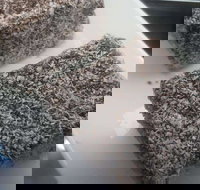 Latte  Cream - St Kilda Accommodation