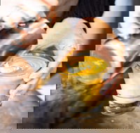 Espresso 3094 - St Kilda Accommodation