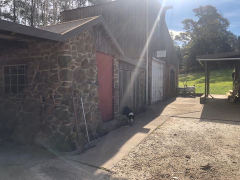 Wilmot Hills Orchard & Distillery - St Kilda Accommodation 1