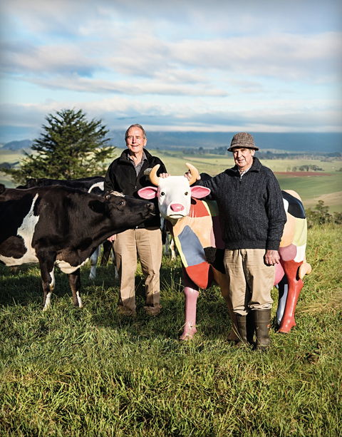 Ashgrove Farm Cheese - St Kilda Accommodation 1