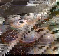 Gaffney Place - St Kilda Accommodation