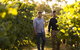 Patrick Of Coonawarra - thumb 1