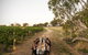Patrick Of Coonawarra - thumb 2