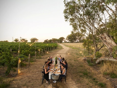 Patrick Of Coonawarra - St Kilda Accommodation 2