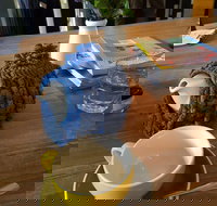 Espressohead - St Kilda Accommodation