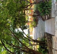 Velvet  Willow - St Kilda Accommodation