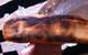 Balmoral Pizzeria - thumb 0