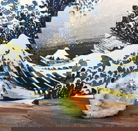 Bamboo Exmouth - St Kilda Accommodation