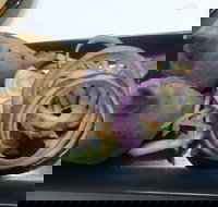 Dark Horse - St Kilda Accommodation