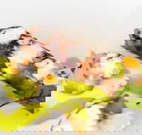 The Wild Herring - St Kilda Accommodation