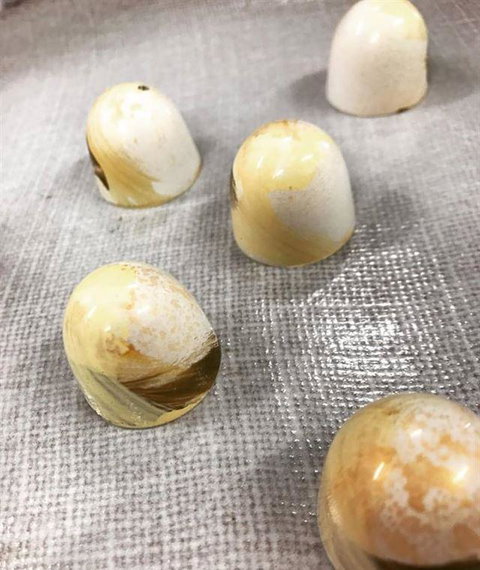 Sandy & Andy Eurocafe - St Kilda Accommodation 2