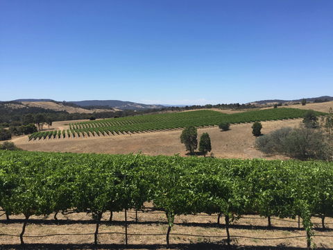 Peerick Vineyard And Winery - St Kilda Accommodation 0