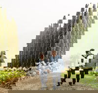 Pietro Gallo Estate - Olivigna Restaurant