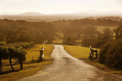 Petersons Wines - St Kilda Accommodation 0