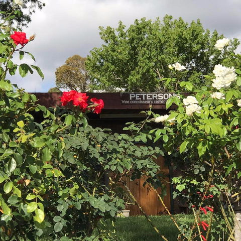 Petersons Wines - St Kilda Accommodation 1