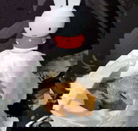 Lil' Orbit - St Kilda Accommodation