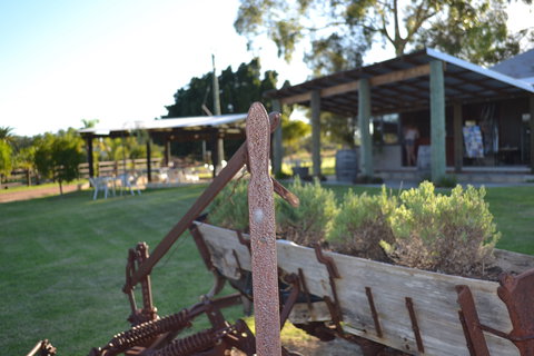 Ugly Duckling Wines - St Kilda Accommodation 0