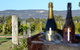 Ugly Duckling Wines - thumb 1