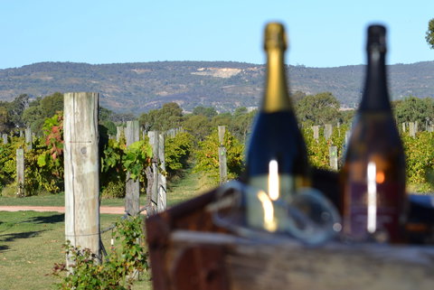 Ugly Duckling Wines - St Kilda Accommodation 1