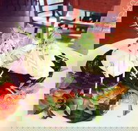 Succulent Cafe - St Kilda Accommodation