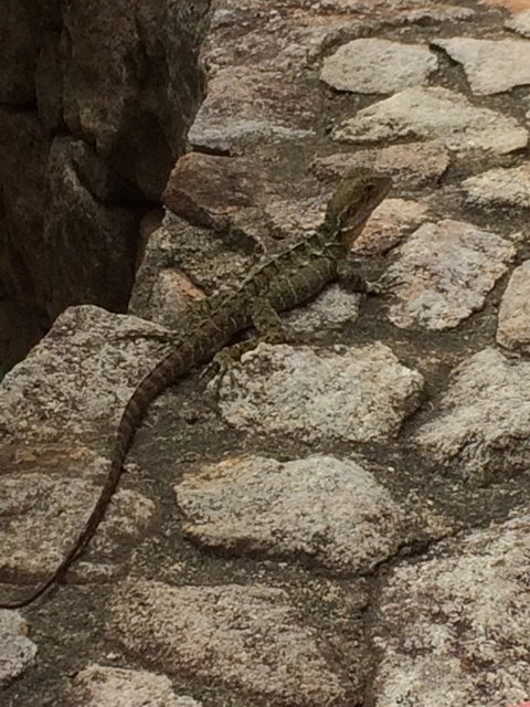 Cafe 37 - St Kilda Accommodation 4