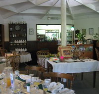 Daintree Tea House Restaurant - St Kilda Accommodation