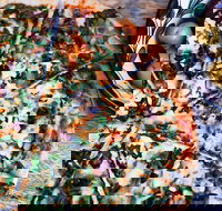 Earth n Sea Amazing Pizza  Pasta - St Kilda Accommodation