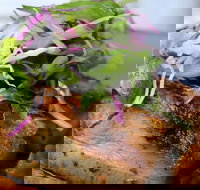 Barchino - St Kilda Accommodation