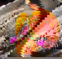 The Petit Snail - St Kilda Accommodation