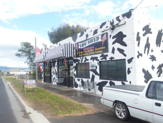 Avoca TAS St Kilda Accommodation