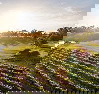 Sandalford Restaurant - St Kilda Accommodation