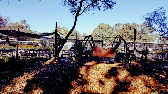 Hazelmere WA St Kilda Accommodation