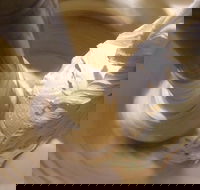 Gelato Classico Noosa Italian Cafe - St Kilda Accommodation