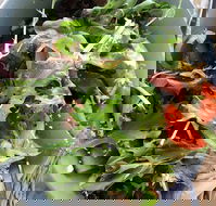 The Spun Yarn Cafe - St Kilda Accommodation