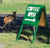Chillagoe Gallery 29 - St Kilda Accommodation