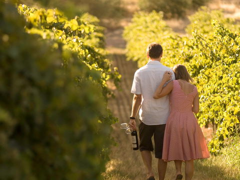 Novotel Barossa Valley Resort - St Kilda Accommodation 1