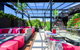 Canberra Rex Hotel - thumb 17